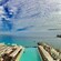 Beach chairs and umbrellas surrounding an infinity pool next to a tranquil seashore